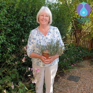 Plant Sales for the Sussex Cancer Fund