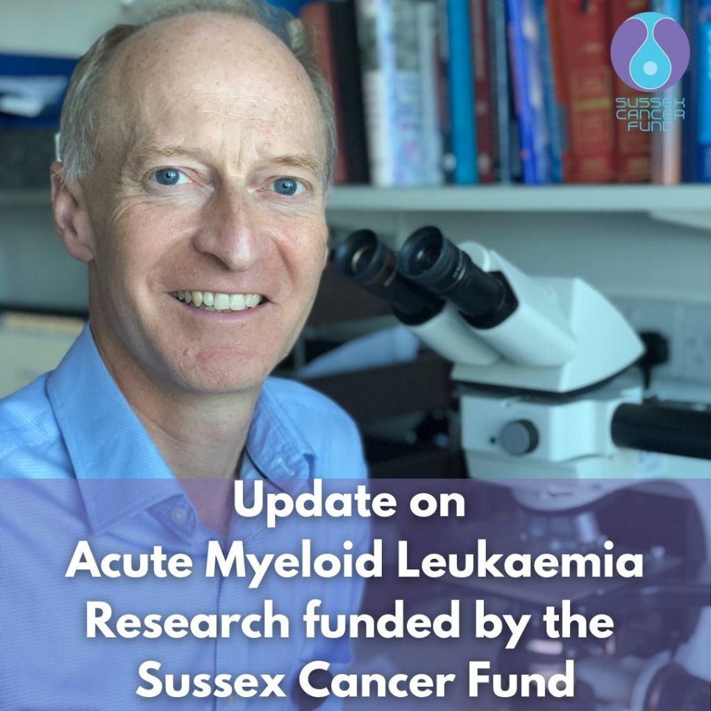 update-on-acute-myeloid-leukaemia-research-funded-by-the-sussex-cancer