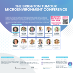 The Brighton Tumour Microenvironmental Conference - 21st & 22nd  October 24