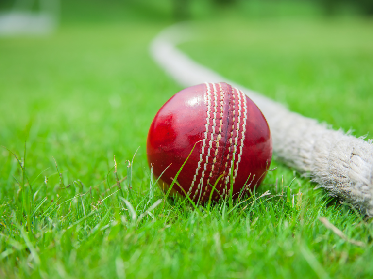 charity cricket match